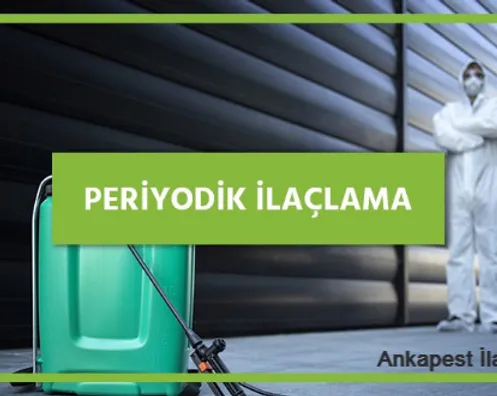 Periyodik ilaçlama